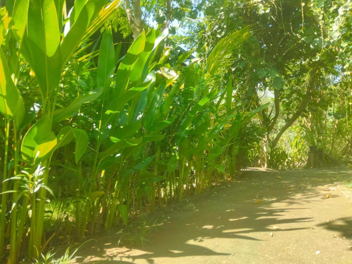 Pier26 Bali Homestay ヌサドゥア エクステリア 写真